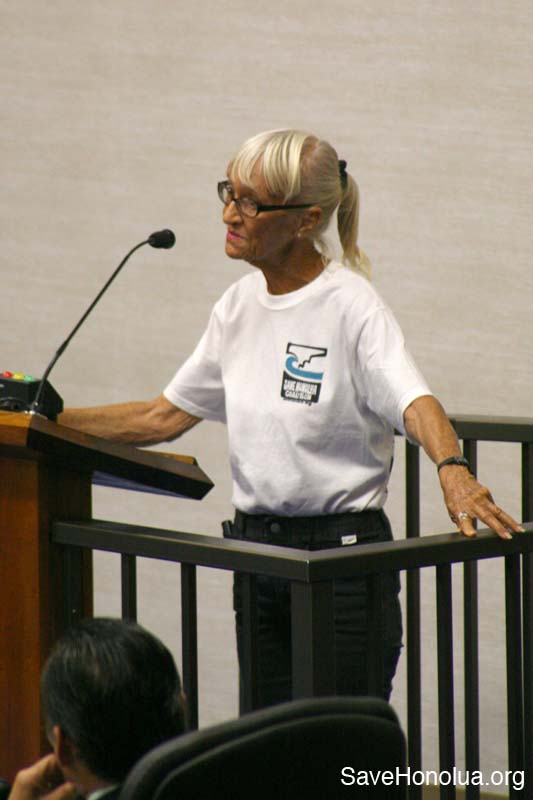 24councilmeeting-4-20-07