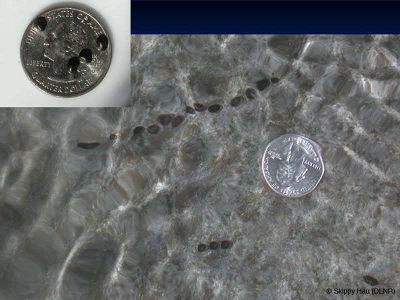 Slide16