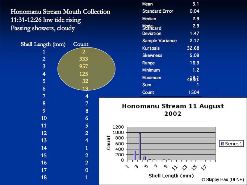 Slide19