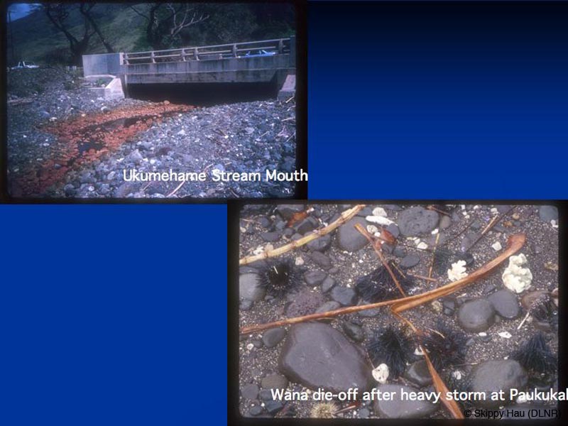 Slide23